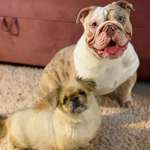 Ersteller:in Laura Profilbild