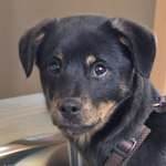 Ersteller:in Babs Profilbild