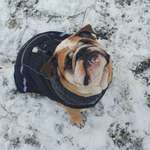 Ersteller:in Michi Profilbild