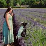 Ersteller:in Franzi Profilbild