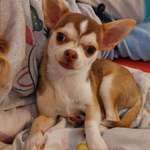 Ersteller:in Sarah Profilbild