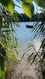 Hundeauslaufgebiet-Waldsee-Bild