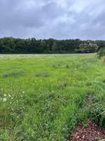 Hundeauslaufgebiet-Pelkum-Bild