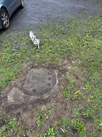 Hundeauslaufgebiet-Pelkum-Bild