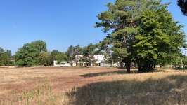 Hundeauslaufgebiet-Waldsee-Bild