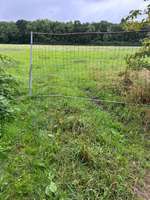 Hundeauslaufgebiet-Pelkum-Bild