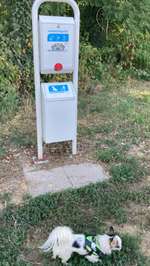 Hundeauslaufgebiet-Waldsee-Bild