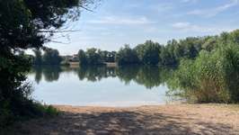 Hundeauslaufgebiet-Waldsee-Bild
