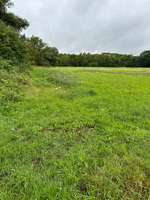 Hundeauslaufgebiet-Pelkum-Bild