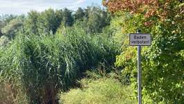 Hundeauslaufgebiet-Waldsee-Bild