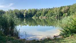 Hundeauslaufgebiet-Waldsee-Bild