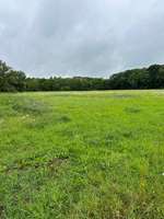 Hundeauslaufgebiet-Pelkum-Bild