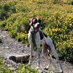 Ersteller:in Daphna Profilbild