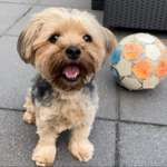 Ersteller:in Agi Profilbild