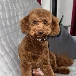 Ersteller:in Andrea Profilbild