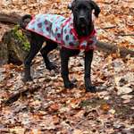 Deckentraining, Ruhe, Alleinsein-Beitrag-Bild