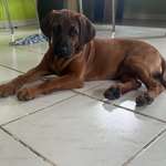 Ersteller:in Verena Profilbild