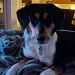 Ersteller:in Sabrina Profilbild