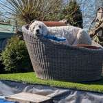 Ersteller:in Marcel Profilbild