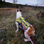 Ersteller:in Sabrina Profilbild