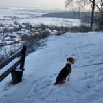 Ersteller:in Daniel Profilbild