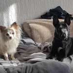 Ersteller:in Stefanie Profilbild