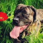 Ersteller:in Mel Profilbild