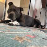 Ersteller:in Liss Profilbild