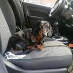 Ersteller:in Benita Profilbild