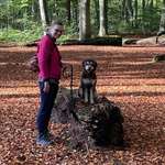 Ersteller:in Heike Profilbild