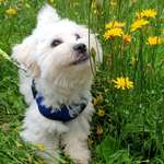 Ersteller:in Adriana Profilbild