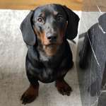 Ersteller:in Madeleine Profilbild