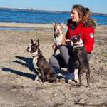 Ersteller:in Tascha Profilbild