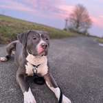 Ersteller:in Hanna-Sophia Profilbild