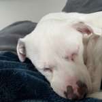 Ersteller:in Felice Profilbild