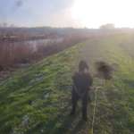 Hundeauslaufgebiet-Der Deich-Bild