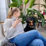 Ersteller:in Carolin Profilbild