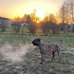 Ersteller:in Marcel Profilbild