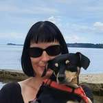 Ersteller:in Steffi Profilbild