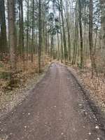 Hundeauslaufgebiet-Weiberrast Pfaffenhofen-Bild