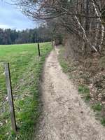 Hundeauslaufgebiet-Weiberrast Pfaffenhofen-Bild