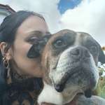 Ersteller:in Stephanie Profilbild