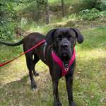 Ersteller:in Kristin Profilbild