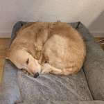 Ersteller:in marvin und sarah Profilbild