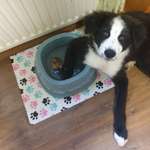 Ersteller:in Franzi Profilbild