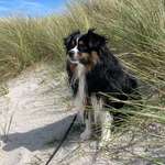 Ersteller:in Laura Profilbild