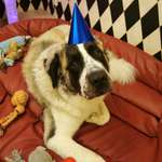 Ersteller:in G Profilbild