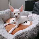 Ersteller:in Jessi Profilbild