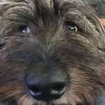 Ersteller:in Nini Profilbild