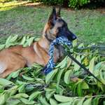 Ersteller:in Jana Profilbild